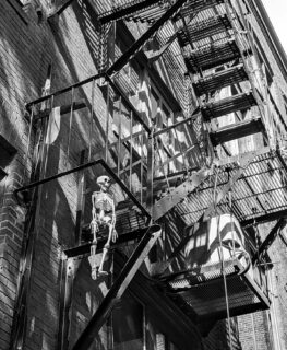 Spooky

#googlepixel #spookyvibes