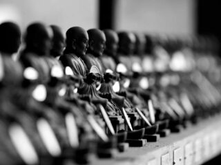 One in a thousand
Shot on Sony a6000, Miyajima, Japan, 2023

#sonya6000 #daishoin #japantrip #blackandwhite