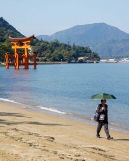 Summertime strollin' in.

Miyajima Island, Japan, 2023

#a6000 #summervibes #beachumbrella